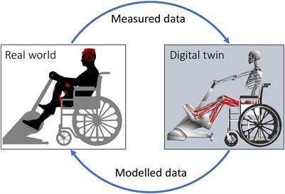 Neuromusculoskeletal Modeling-Based Prostheses for Recovery After Spinal Cord Injury